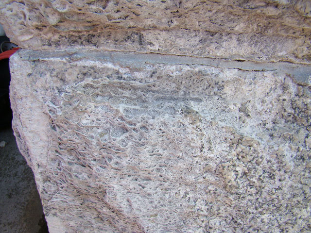 DSC00960